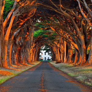 国产精九九❌❌❌网站漫画
